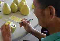 長輩發揮自己的巧思