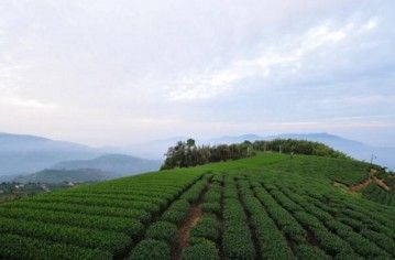 仲明居陶藝坊民宿