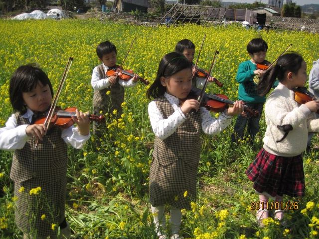 欣賞油菜花田-