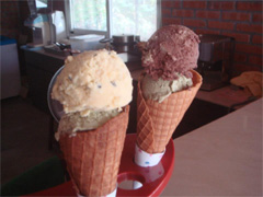 台東都蘭印度料理&冰淇淋－雙口味冰淇淋