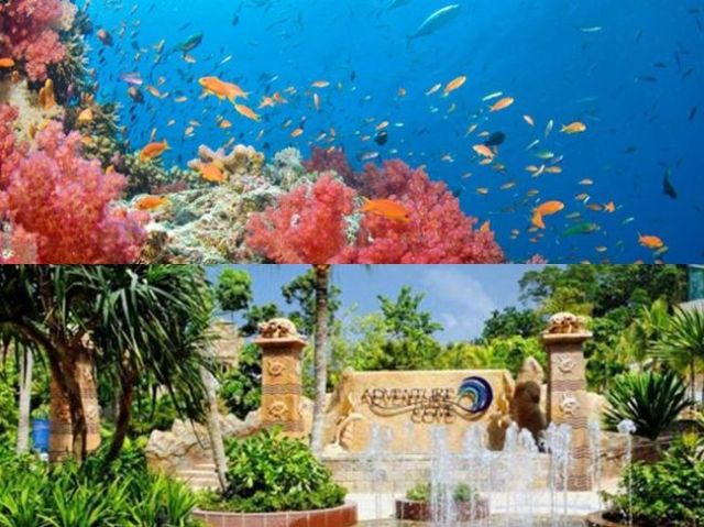 新加坡FUN暑假～五星酷玩聖淘沙、海洋生物園、金沙環球影城四日(含稅)-