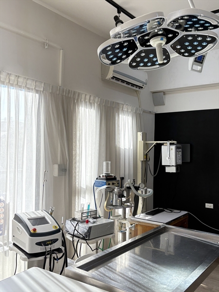 鳳山貓狗牙科與口炎