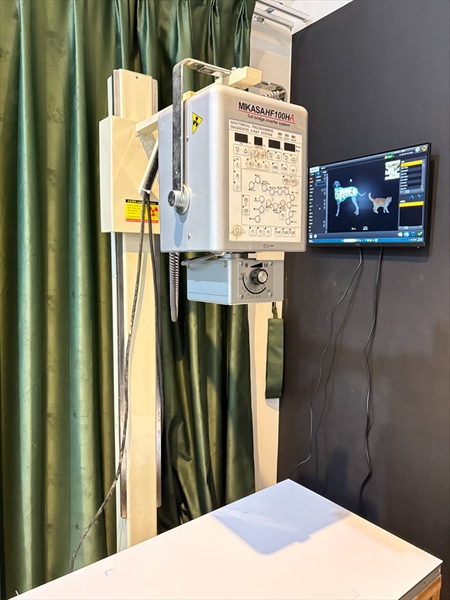 數位DR X光機-【高雄動物醫院推薦】達特動物醫院｜高壓氧、寵物復健、貓狗牙科口炎治療
