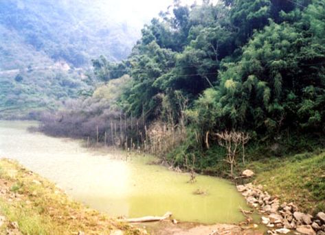 澀仔坑溪湖