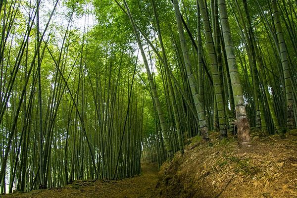 大山自在民宿