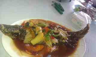 大茄萣活海產店