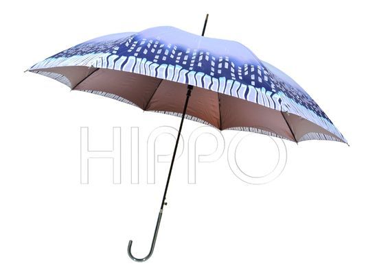 色膠雙層直傘
