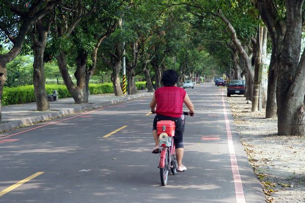 綠色隧道愜意騎單車