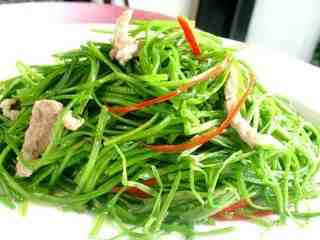 養生炒水蓮