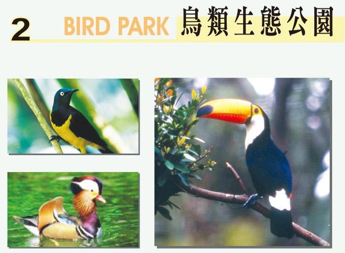 綠世界鳥類生態公園-