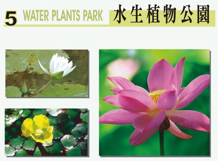綠世界水生植物公園-
