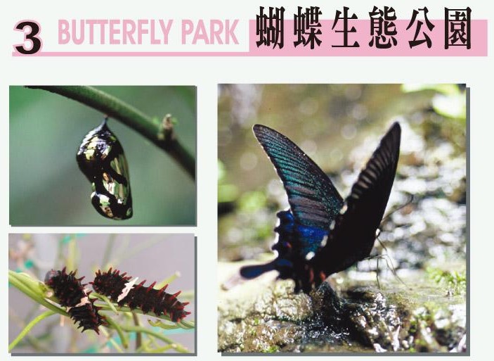 綠世界蝴蝶生態公園-