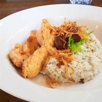 松露野菇雞肉飯