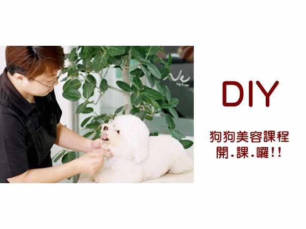 狗狗美容DIY課程(寵物美容)